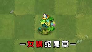 植物大战僵尸2女娲蛇尾草效果如何