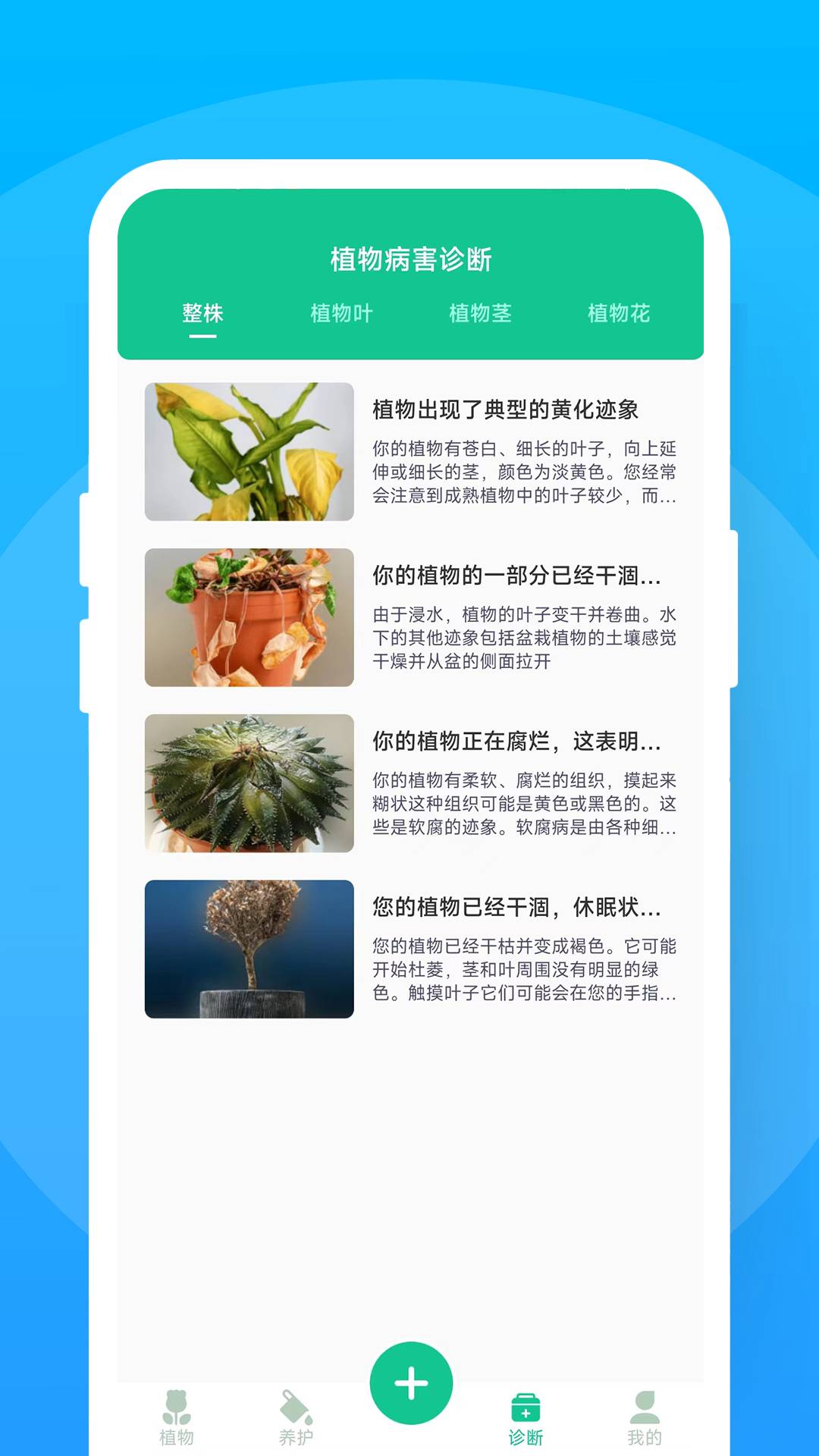 暖暖花花2