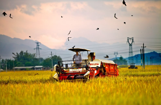 農(nóng)業(yè)