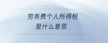 个人所得税的含义是什么