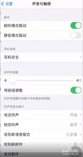 苹果手机来电无声怎么回事