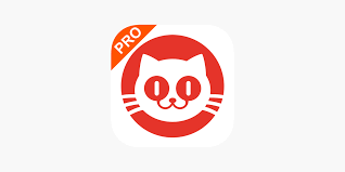 猫眼专业版如何查询影院排片