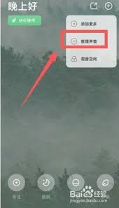 潮汐如何删除声音场景