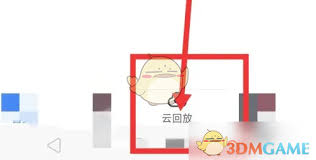 云蚁物联如何查看回放