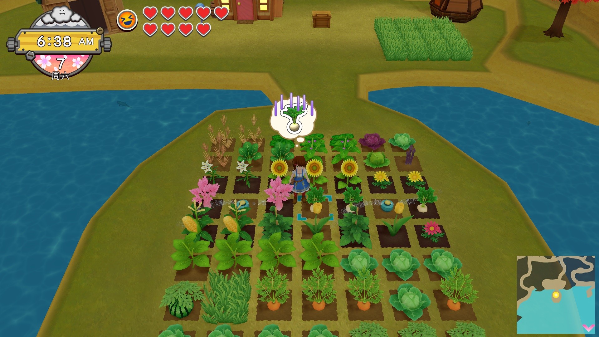 牧場(chǎng)物語：一個(gè)世界Harvest Moon：One World3