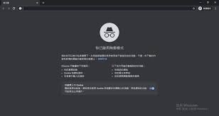 Google浏览器如何开启无痕模式
