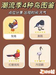心动小镇潮流季喜鹊鸳鸯在哪