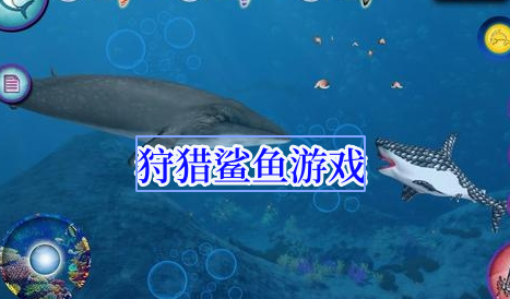 狩獵鯊魚游戲