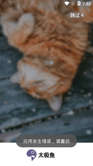 太極魚3