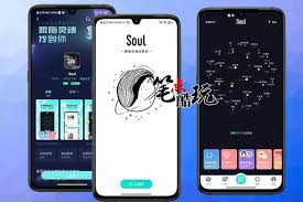 soul头像变灰是表示注销了吗