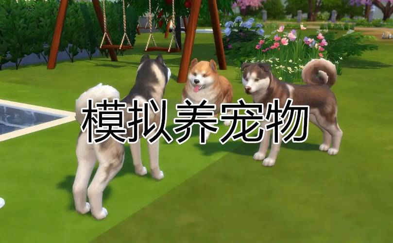 模擬養(yǎng)寵物游戲