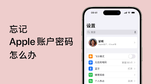 苹果手机忘记密码怎么解决