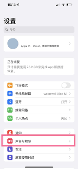 苹果手机静音震动怎么取消