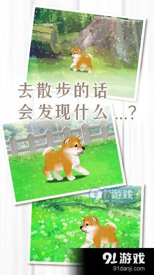 養(yǎng)育柴犬的治愈游戲3