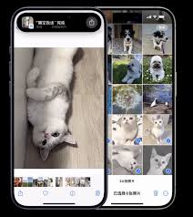 iOS17如何快速分享照片给另一部iPhone