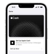 iOS17.5如何设置AppleCash虚拟卡号