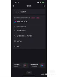 爱奇艺如何投屏到极米