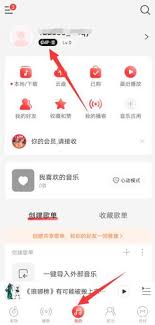 网易云音乐如何取消自动续费