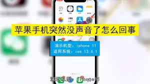 苹果手机没声音如何解决