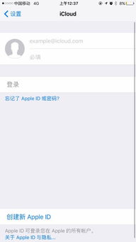 苹果激活需要多久完成