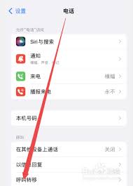 iphone怎么设置呼叫转移