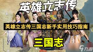 英雄立志传三国志常见问题如何解决