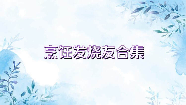 烹飪發(fā)燒友合集