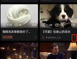 哔哩哔哩稍后再看功能怎么用