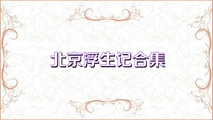 北京浮生记合集