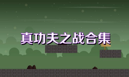 真功夫之战合集