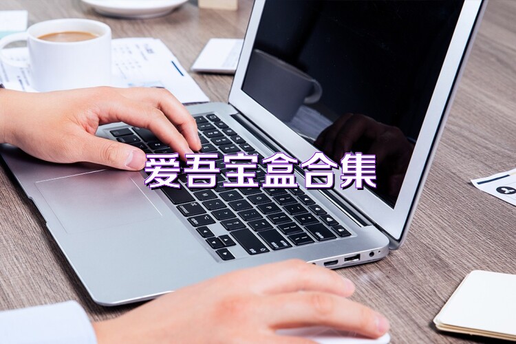 爱吾宝盒合集