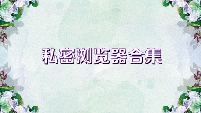 私密浏览器合集