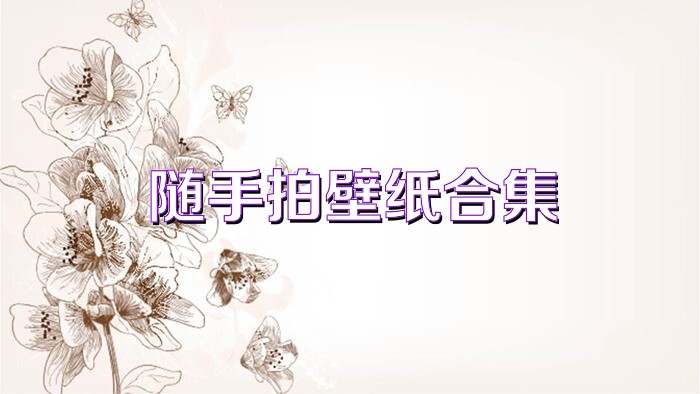 随手拍壁纸合集
