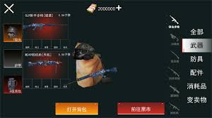 猫猫地铁逃生一直报错怎么办