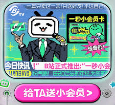B站年度小会员有啥作用