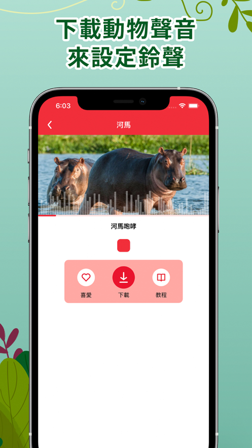 動物聲音鈴聲5