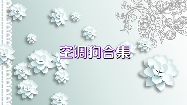 空調(diào)狗合集