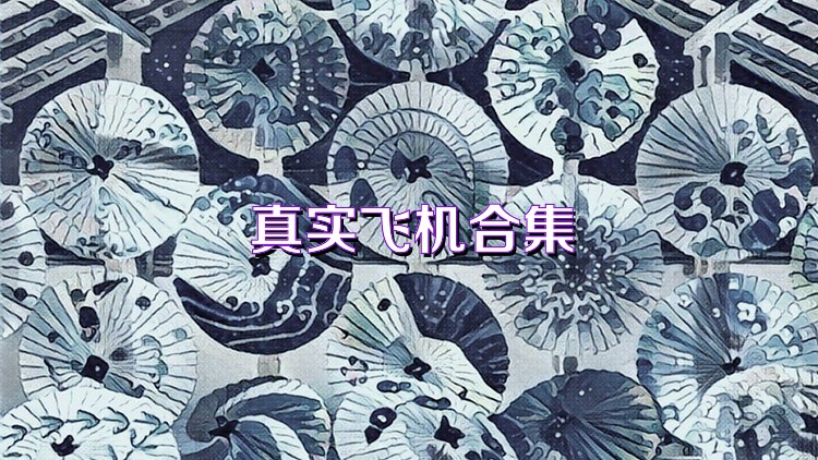 真實(shí)飛機(jī)合集