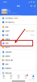 ios付款突然无法使用花呗是咋回事
