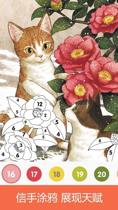 Coloring Book涂色書1
