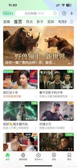 爱奇艺星钻会员有开通的必要吗