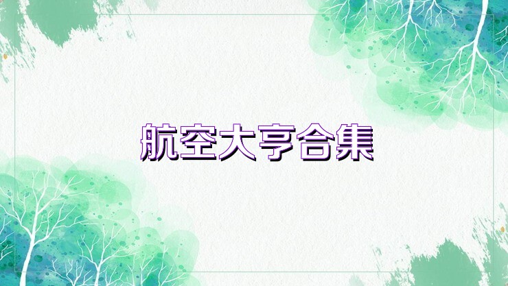航空大亨合集