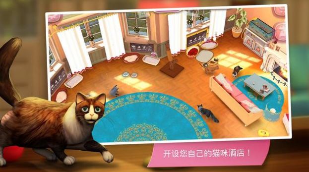 貓咪旅店3