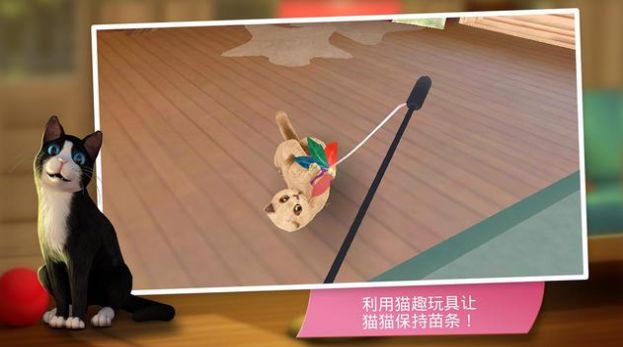 貓咪旅店4