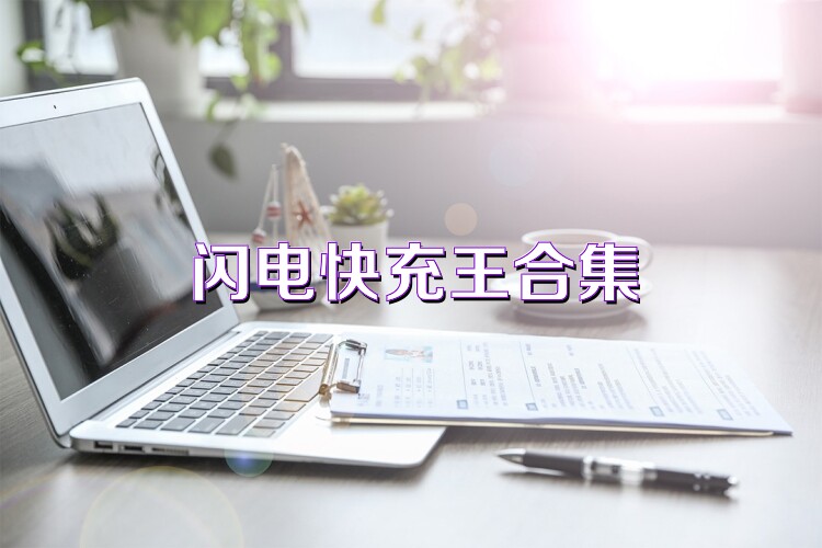 闪电快充王合集