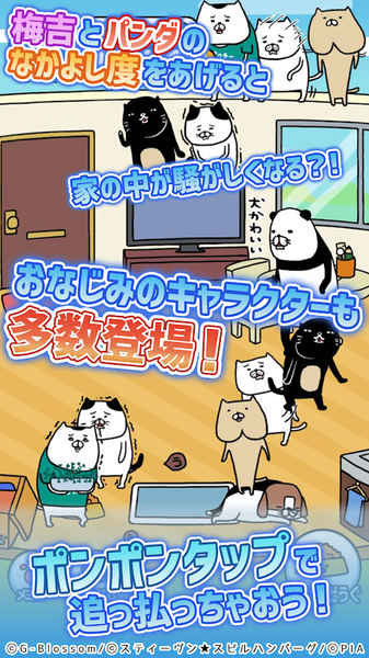 熊貓與狗狗的美好人生4