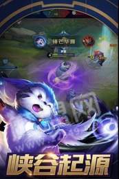 王者榮耀熊貓輔助2