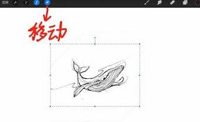 Procreate如何进行局部缩放