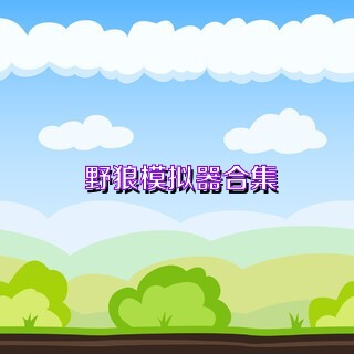 野狼模擬器合集