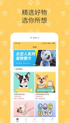 陪彼寵物5